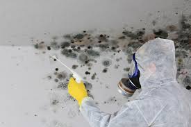 Blue Hills, CT Mold Remediation Company